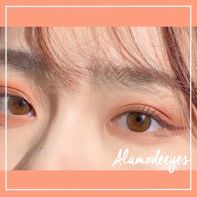 Lens nâu mật ong áp tròng