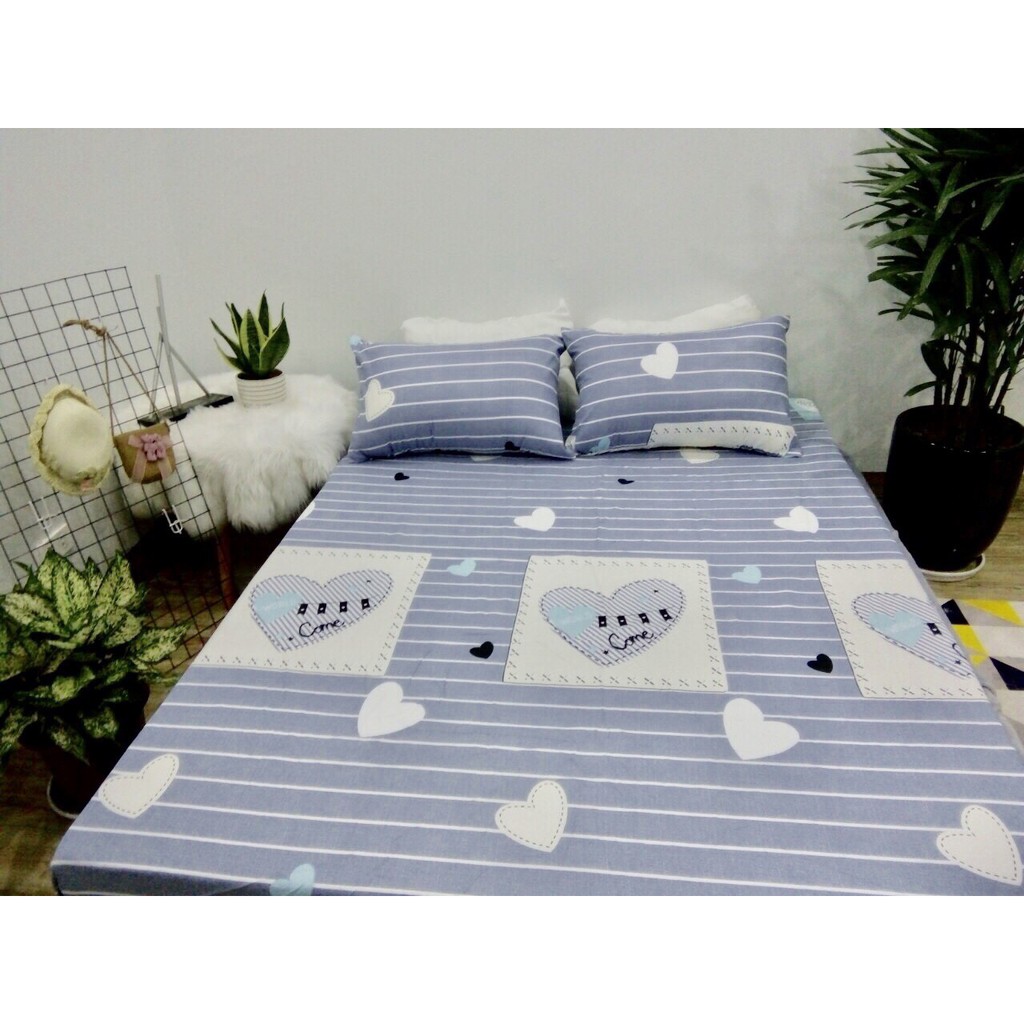 Bộ ga gối 1m6 cotton 100% nhập khẩu mềm mịn mã GGCT-01105