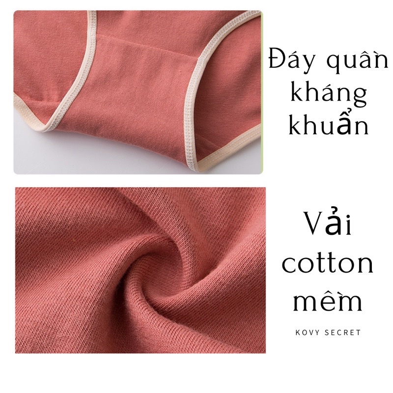 Quần lót nữ,quần lót cotton kháng khuẩn huy hiệu vải trơn mềm mịn,dễ thương(Q04) | BigBuy360 - bigbuy360.vn