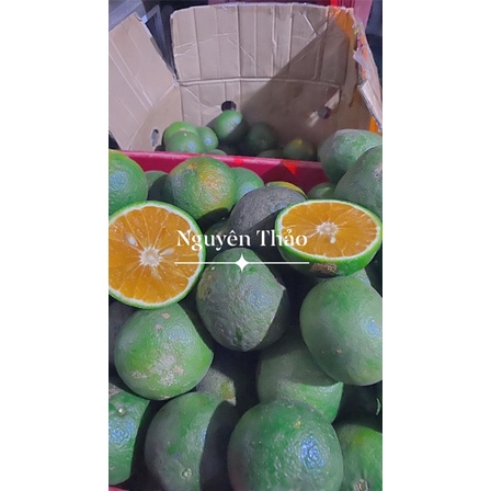 CAM SÀNH MỘNG NƯỚC SIZE BI