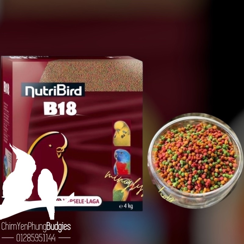 Hạt trái cây NutriBird B18 cho Vẹt nhỏ, xuất xứ: Bỉ 🇧🇪