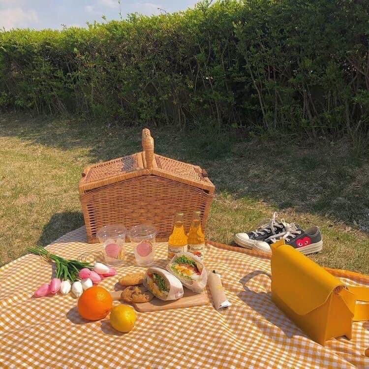[Giá xưởng] Giỏ picnic mây đựng đồ có nắp hình chữ nhật,  trang trí, chụp hình studio, giỏ picnic, decor nhà cửa