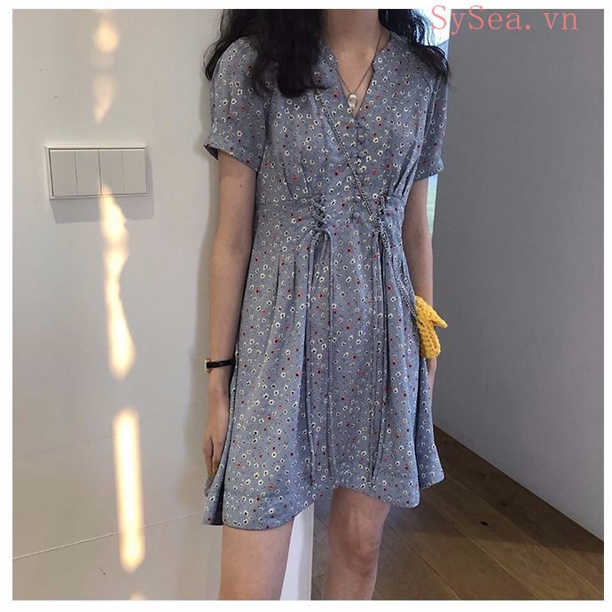 Đầm Chiffon Nữ Cổ Chữ V In Hoa