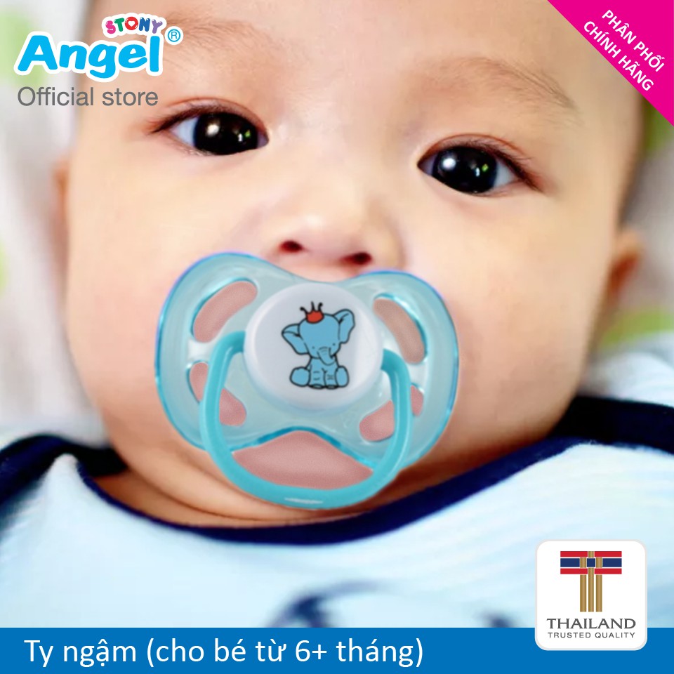 Ty ngậm Angel (cho bé từ 6+ tháng)