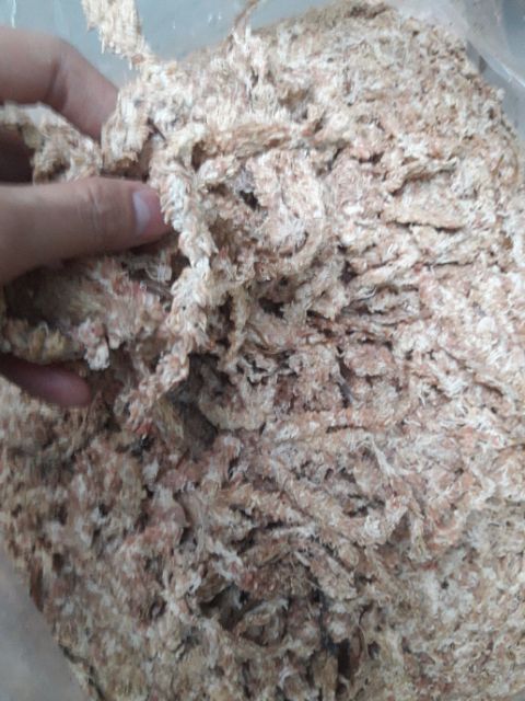 1kg rêu sâu chile loại đẹp làm giá thể trồng lan