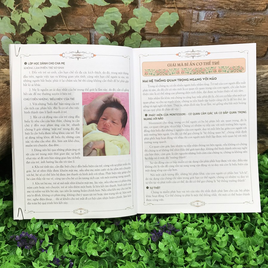 Sách - Cẩm nang nuôi dạy con theo phương pháp Montessori | BigBuy360 - bigbuy360.vn