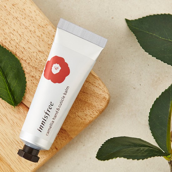 Sáp dưỡng da tay và móng tay hương hoa trà innisfree Camellia Hand And Cuticle Balm EX 50ml | BigBuy360 - bigbuy360.vn