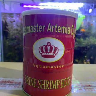 Cám Artemia Shrimp Eggs