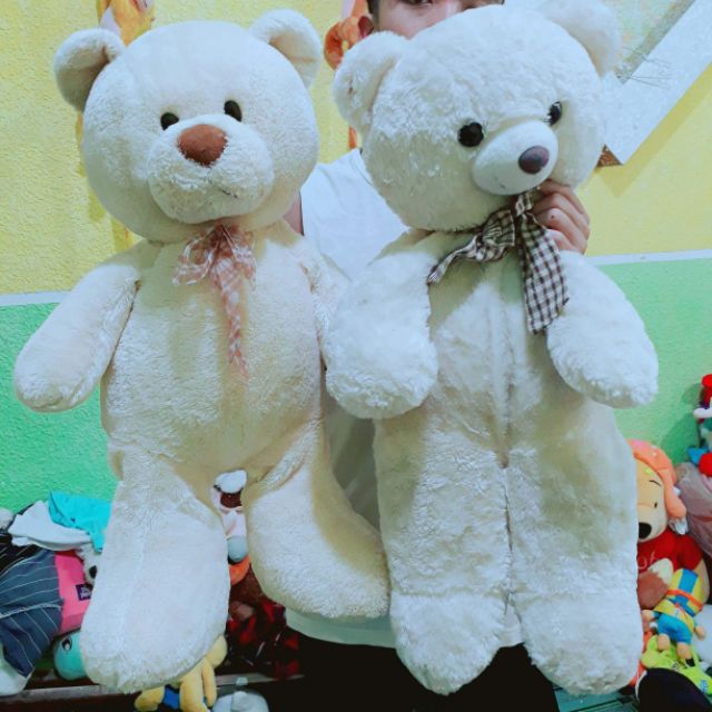 Gấu bông hàn quốc giá rẻ bất ngờ không thể rẻ hơn được. Mời mua ngay ạ