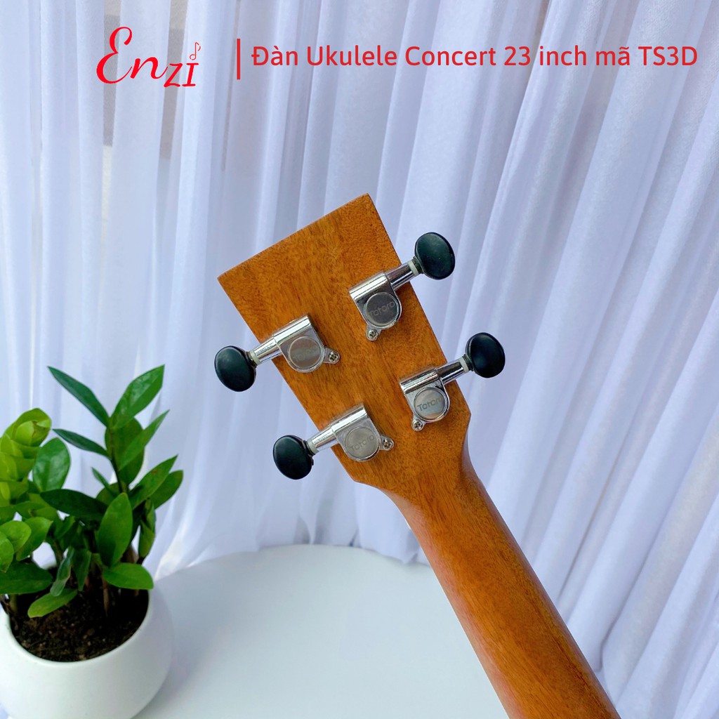 Đàn ukulele concert TS3D Enzi 23 inch gỗ mộc họa tiết cây dừa khóa đúc giá rẻ cho bạn mới bắt đầu tập chơi