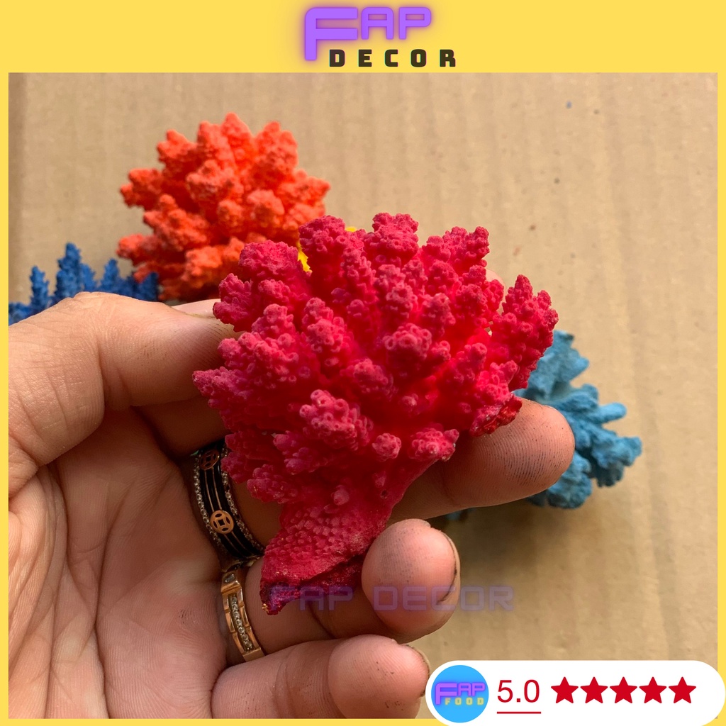 BÔNG RẠN SAN HÔ MINI PHONG THỦY PHỐI MÀU DECOR NHÀ CỬA, SAN HÔ NHIỀU MÀU TRANG TRÍ THỦY SINH