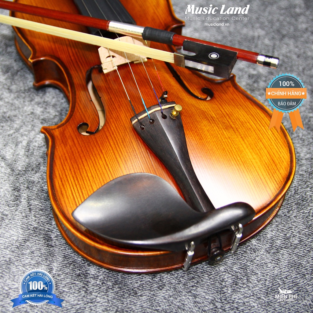 Đàn Violin Amati – Chính Hãng