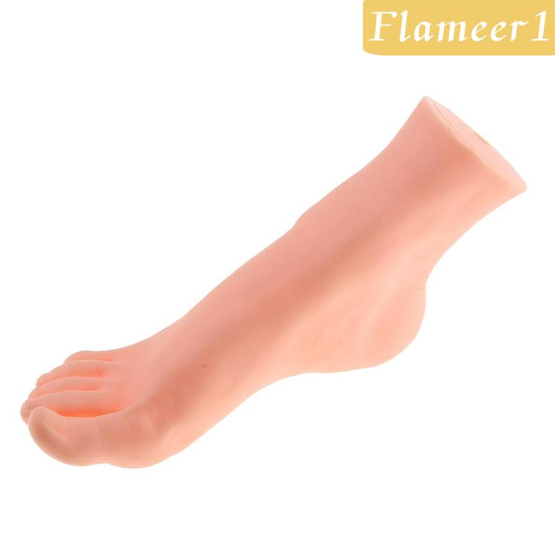 [Flameameer1] Chân Ma Nơ Canh Cao Su Trưng Bày Mô Hình Bàn Chân Phải Sống Động