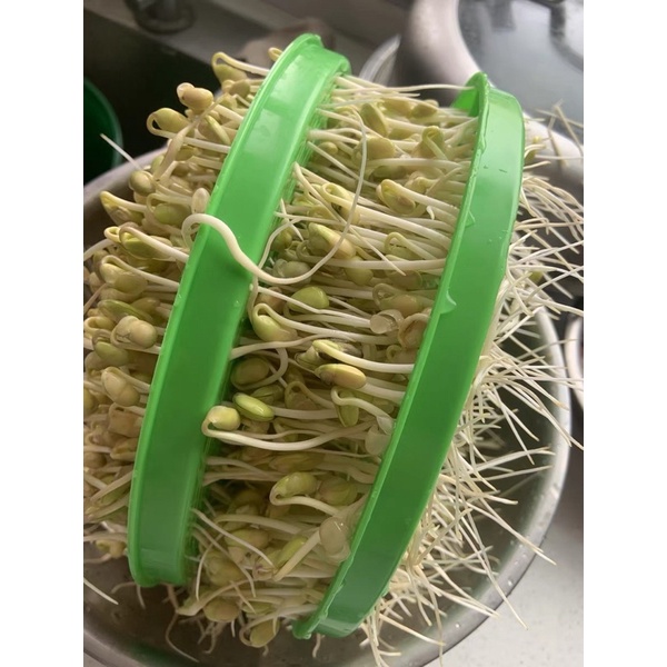 CÓ SẴN - MÁY LÀM GIÁ ĐỖ TỰ ĐỘNG