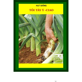 2 Gram - Hạt Giống Tỏi Tây Ý