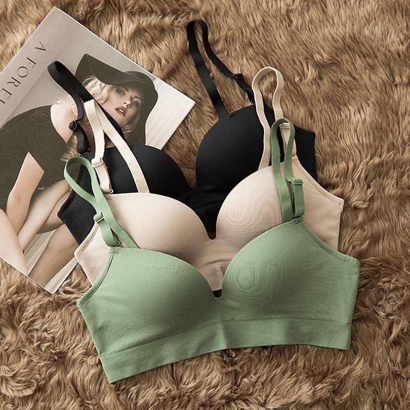 Áo lót A001 trơn cotton đệm vừa không gọng hàng cao cấp