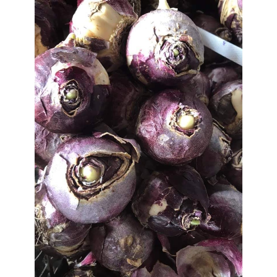 Combo 5 củ hoa TIÊN ÔNG