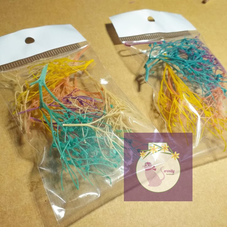 Cành nụ mềm sấy khô trang trí resin, handmade