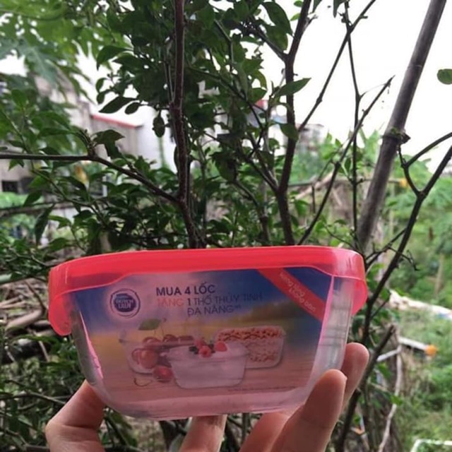 2 thố thuỷ tinh đa năng