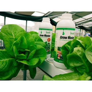 Dung dịch thủy canh Grow Master ăn lá cặp 2 lít pha loãng 350 lít nước