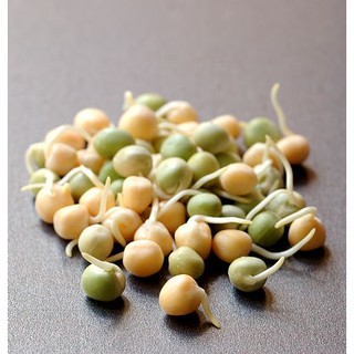 50Gram Hạt Mầm đậu Hà Lan