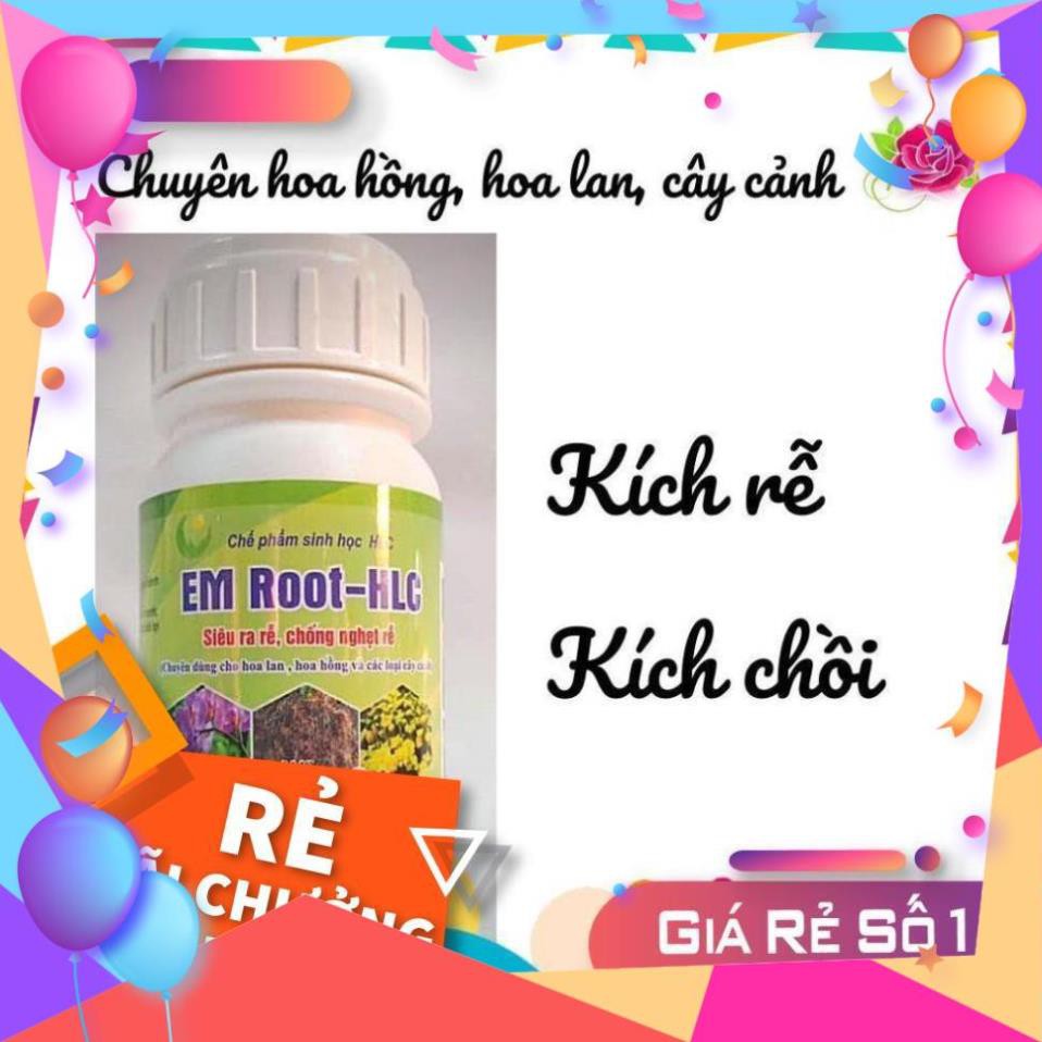 EM ROOT HLC chuyên Kích Rễ cho Hoa Hồng, Phong Lan, Cây Cảnh giúp ra rễ, kích chồi cực mạnh, hạn chế vàng lá - 250ml