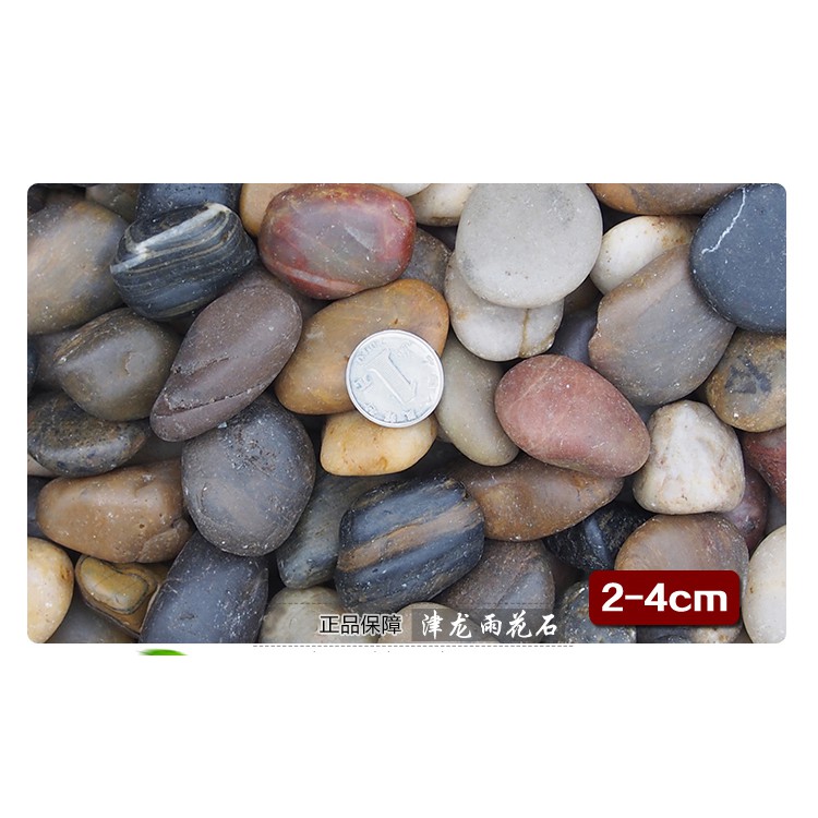 Đá Cuội Tự Nhiên Để Trang Trí Size Trung