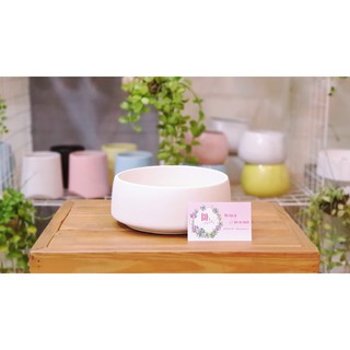 Chậu sứ trồng cây mẫu kim cương trẹt