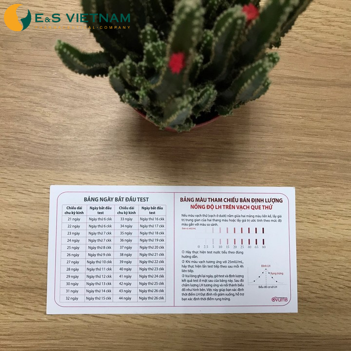 Que Thử Rụng Trứng OvumB chính xác 99% - hộp 12 que
