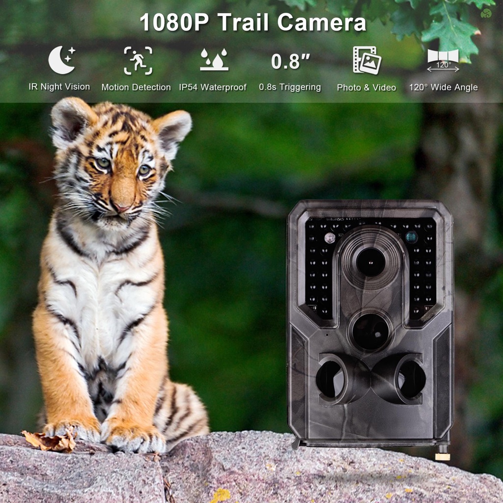 Camera hành trình Andoer Wildlife FHD 1080P 120 góc rộng 0.8s IP54 32GB có chế độ nhìn ban đêm chống thấm nước với giao diện 1/4
 | BigBuy360 - bigbuy360.vn