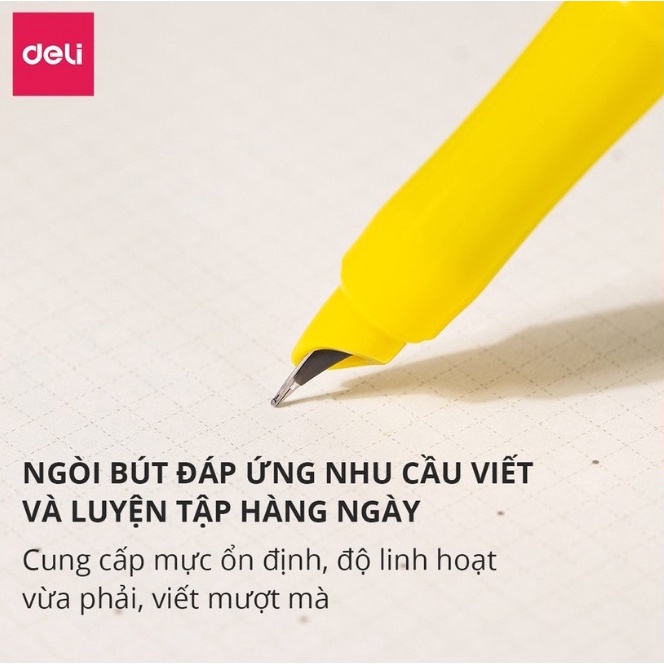 Bút máy Deli nhiều họa tiết đẹp CQ894 / Bút mực luyện chữ đẹp Q894 Deli 894