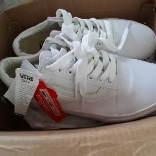 Giày vans trắng live TL