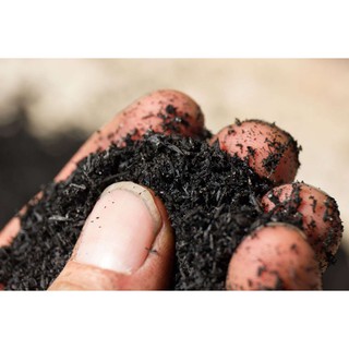 TRẤU HUN NGUYÊN VỎ TÚI 1KG