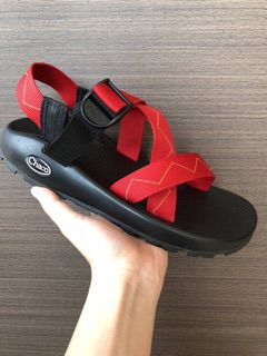 Sandal nam chaco