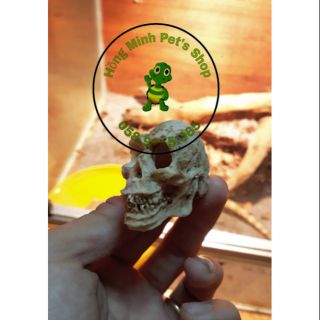 Sọ khỉ trang trí