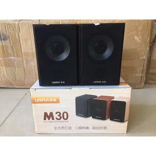 LOA MÁY TÍNH LOYFUN M30 2.0 LOA GỖ CỔNG USB GIAO MẦU NGẪU NHIÊN ĐEN VÀ XÁM