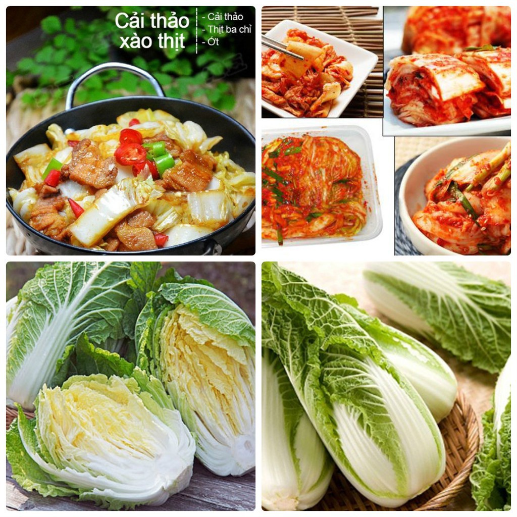 Bán buôn Hạt giống Rau Cải thảo Ngon ( 1 gam) bao đẹp