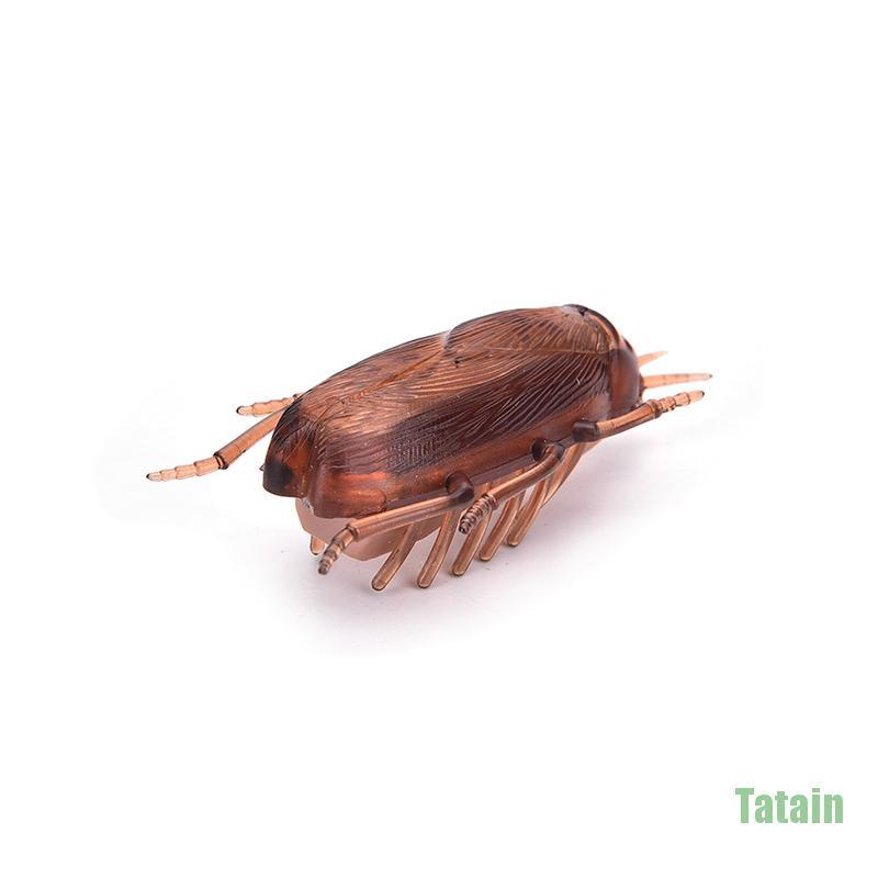 Đồ chơi hình con gián chạy bằng pin vui nhộn cho mèo cưng