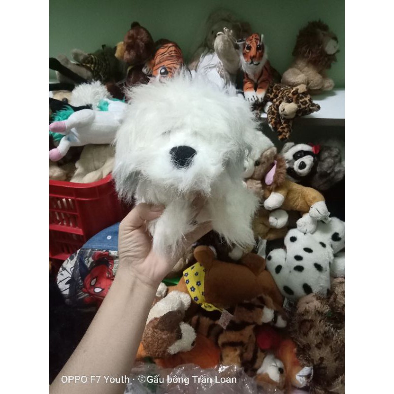 Gấu bông hình chú chó dễ thương