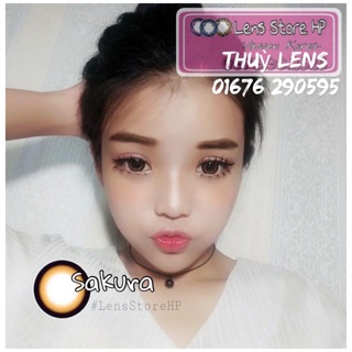 Lens vassen . Ngâm va khay mini