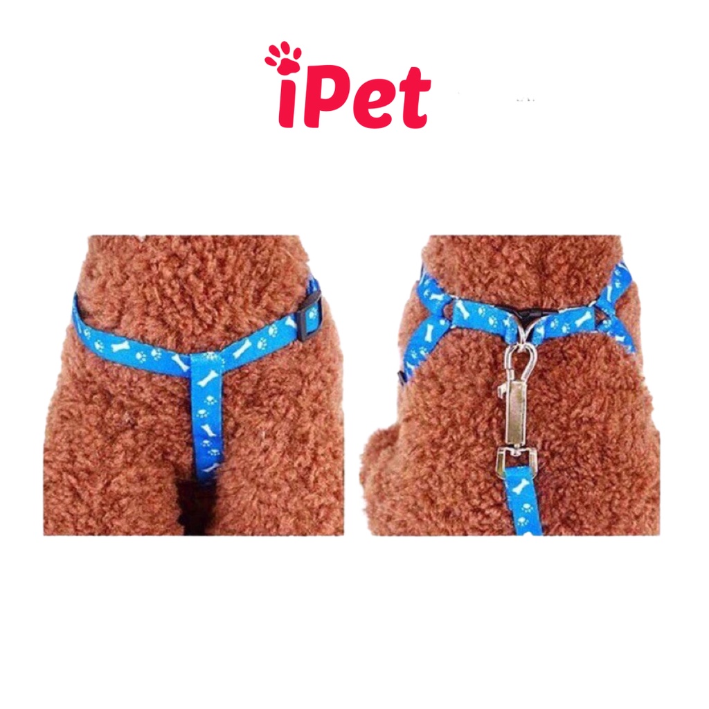 Dây Dắt Kèm Đai Người Cho Chó Mèo Dưới 5kg - iPet Shop