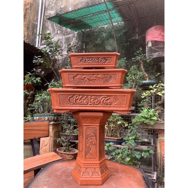 Chậu chữ nhật trồng cây bonsai và đôn kê chậu