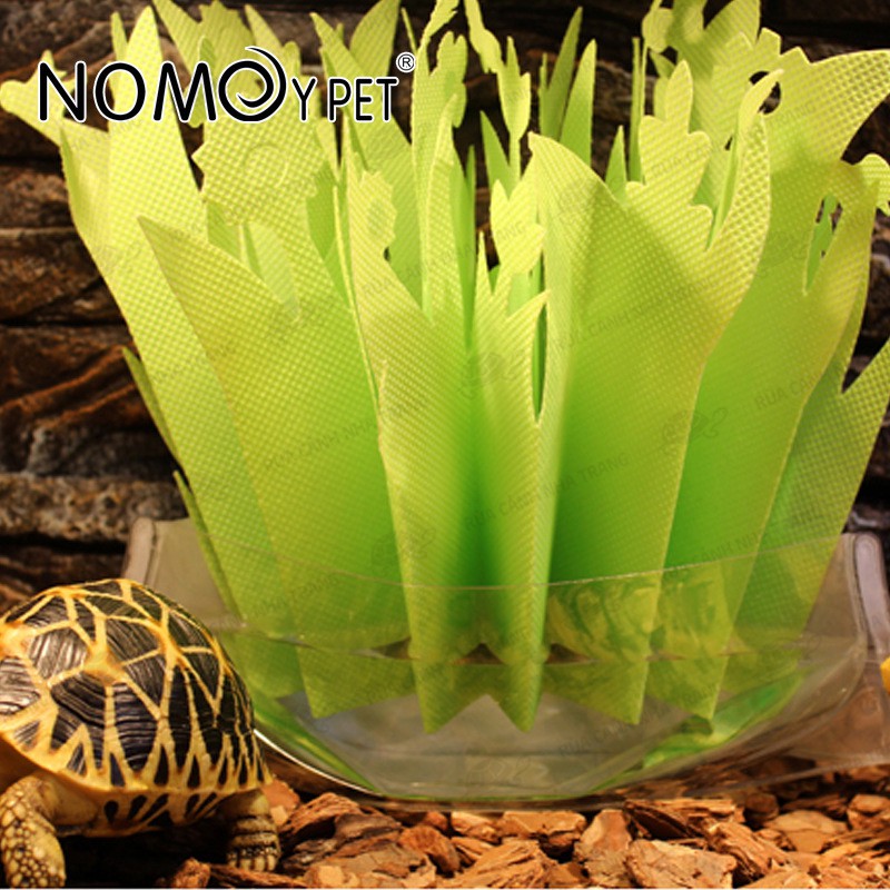 CỎ TẠO ĐỘ ẨM CHO BÒ SÁT, TẠO MÁT MẺ CHO THÚ CƯNG BÒ SÁT