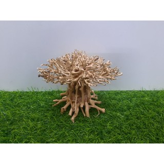 Lũa nấm bonsai cấy rêu hồ cá ( Ngan 15cm cao 10cm )