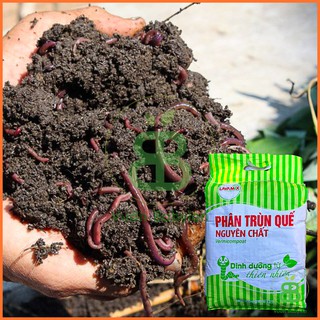 Phân Trùn Quế Nguyên Chất Lavamix, Phân hữu cơ cho rau củ quả, Phân trùn Vuonbabylon cải tạo đất - Túi 10Kg
