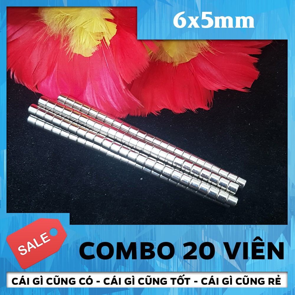 Nam Châm Vĩnh Cửu Hình Trụ 6*5mm - Combo 20 Viên