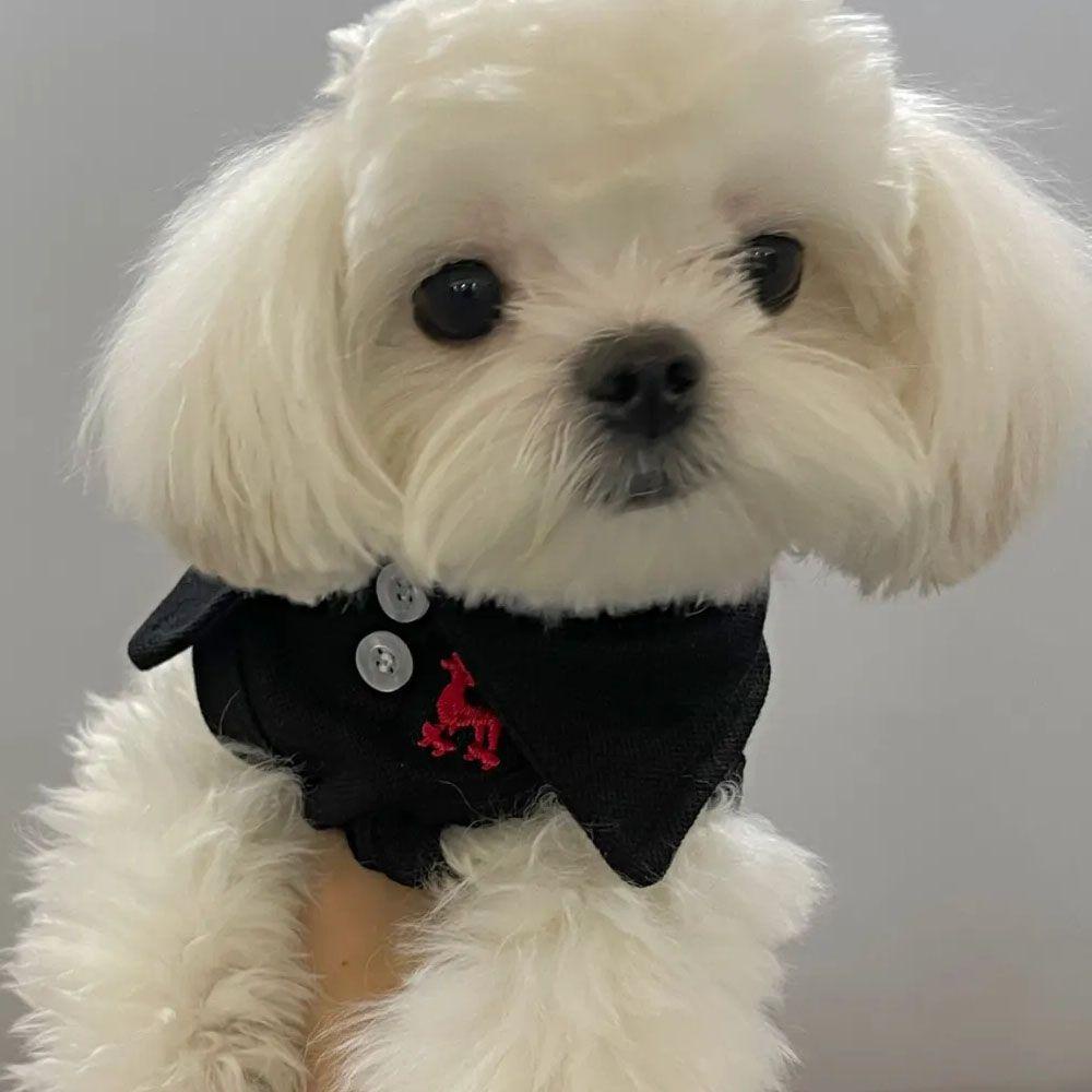 Áo Thun MùA Hè Dễ Thương Cho Thú Cưng