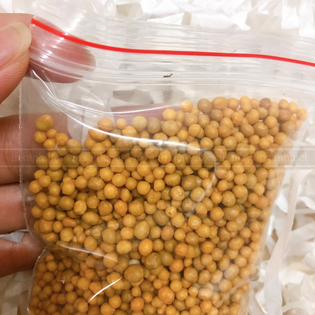 Phân tan chậm hạt vàng NPK 14-14-14 Thái Lan 50gr