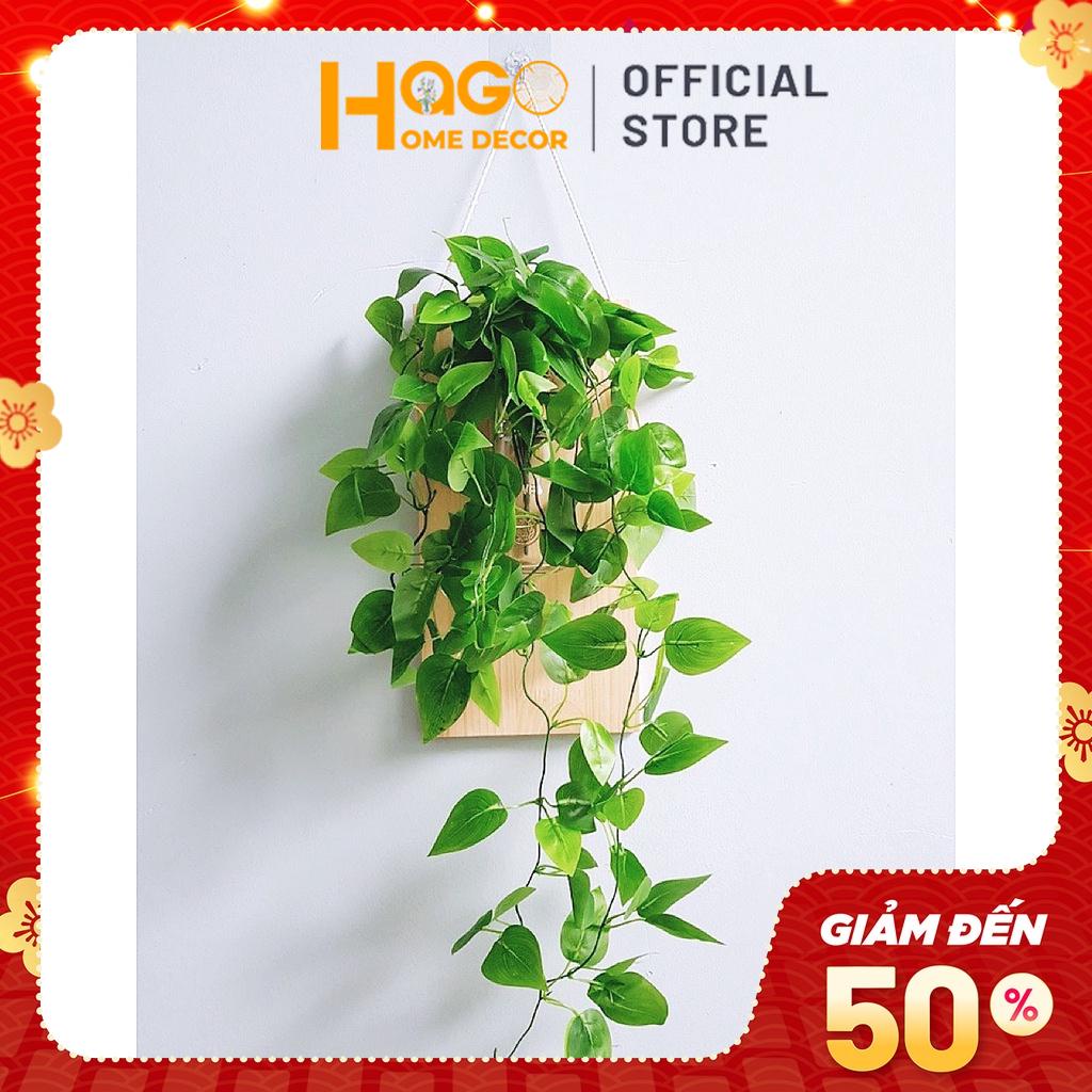 Khung gỗ,bảng gỗ trơn treo tường gỗ thông cao cấp kèm lọ hoa thủy tinh cắm hoa, trồng cây thủy sinh