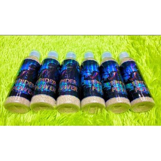 Bột Tơ Nhện Kết Dính Mồi Câu